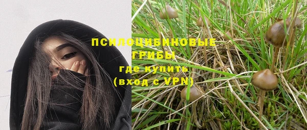 а пвп мука Верхний Тагил