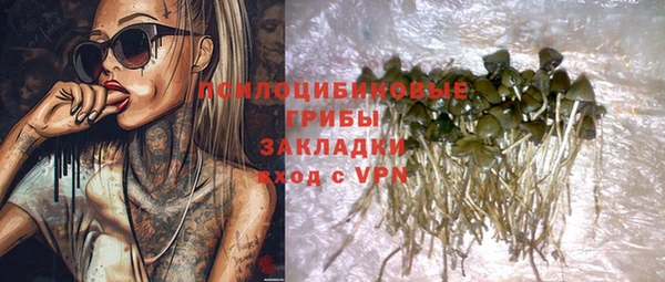 а пвп мука Верхний Тагил