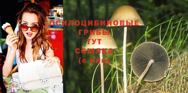 а пвп мука Верхний Тагил