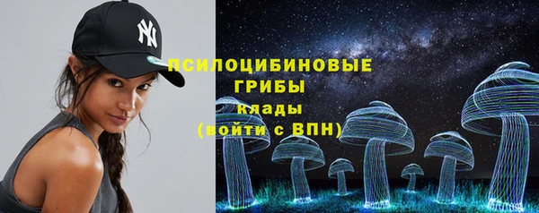 а пвп мука Верхний Тагил