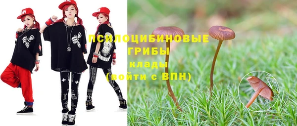 дмт Бугульма