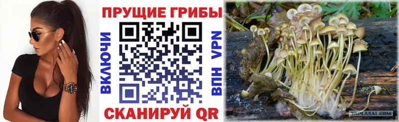 Галлюциногенные грибы MAGIC MUSHROOMS  MEGA   Гурьевск 